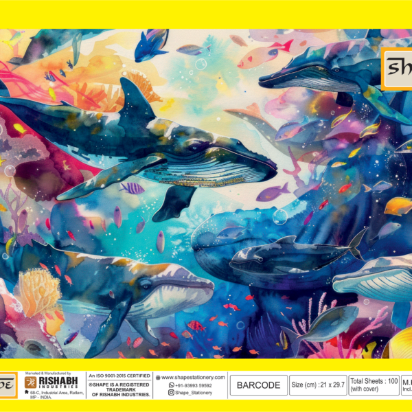 Shape Stationery Loose Paper Sheet pack showing smooth drawing paper that is ideal for pencil, charcoal, and light colour work, designed for easy submission.